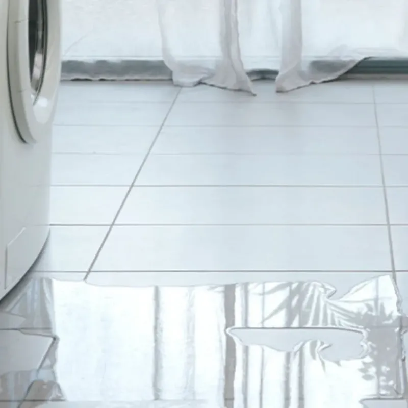 Appliance Leak Cleanup in Cary, IL