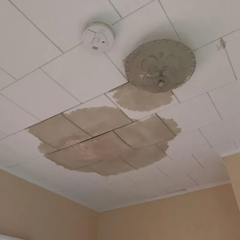 Ceiling Water Damage Repair in Cary, IL