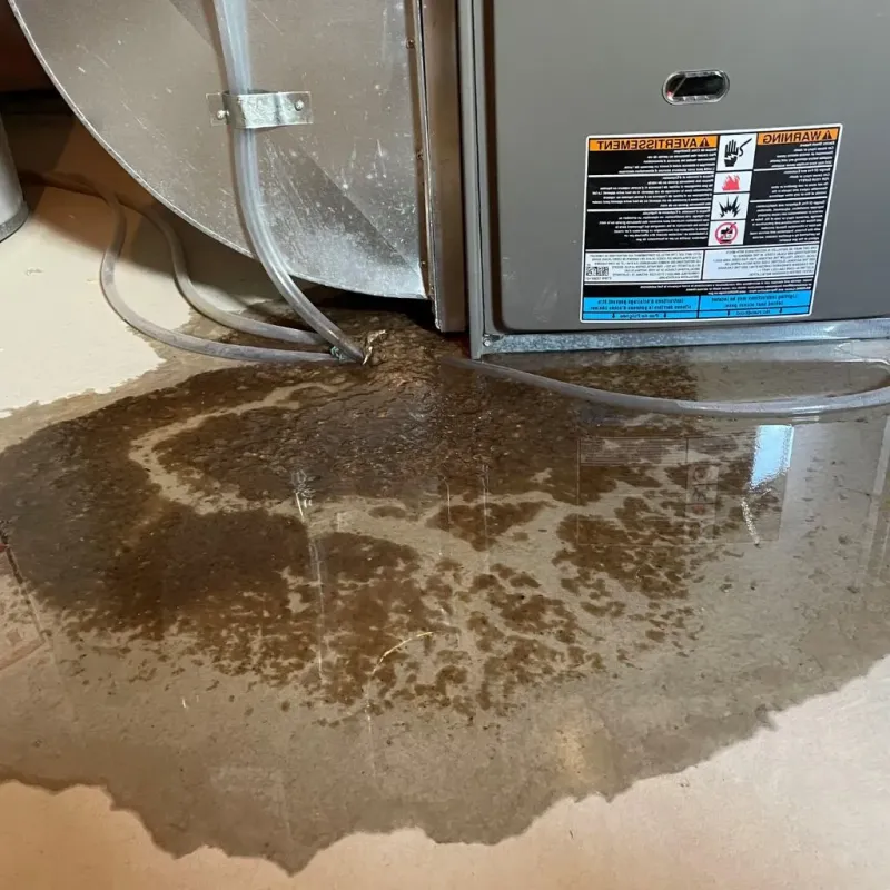 Pipe Burst and Leak Restoration in Cary, IL