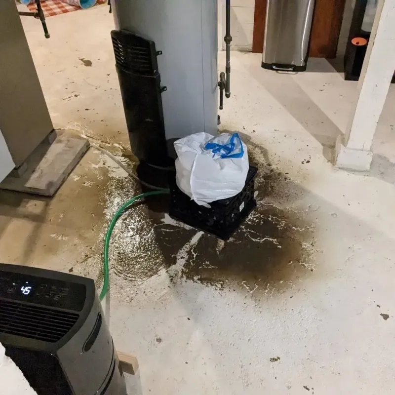 Sewage Backup Cleanup Service in Cary, IL